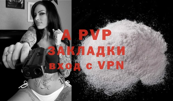прущие крисы Болохово