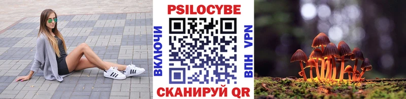 Галлюциногенные грибы Cubensis  наркотики  Камешково 